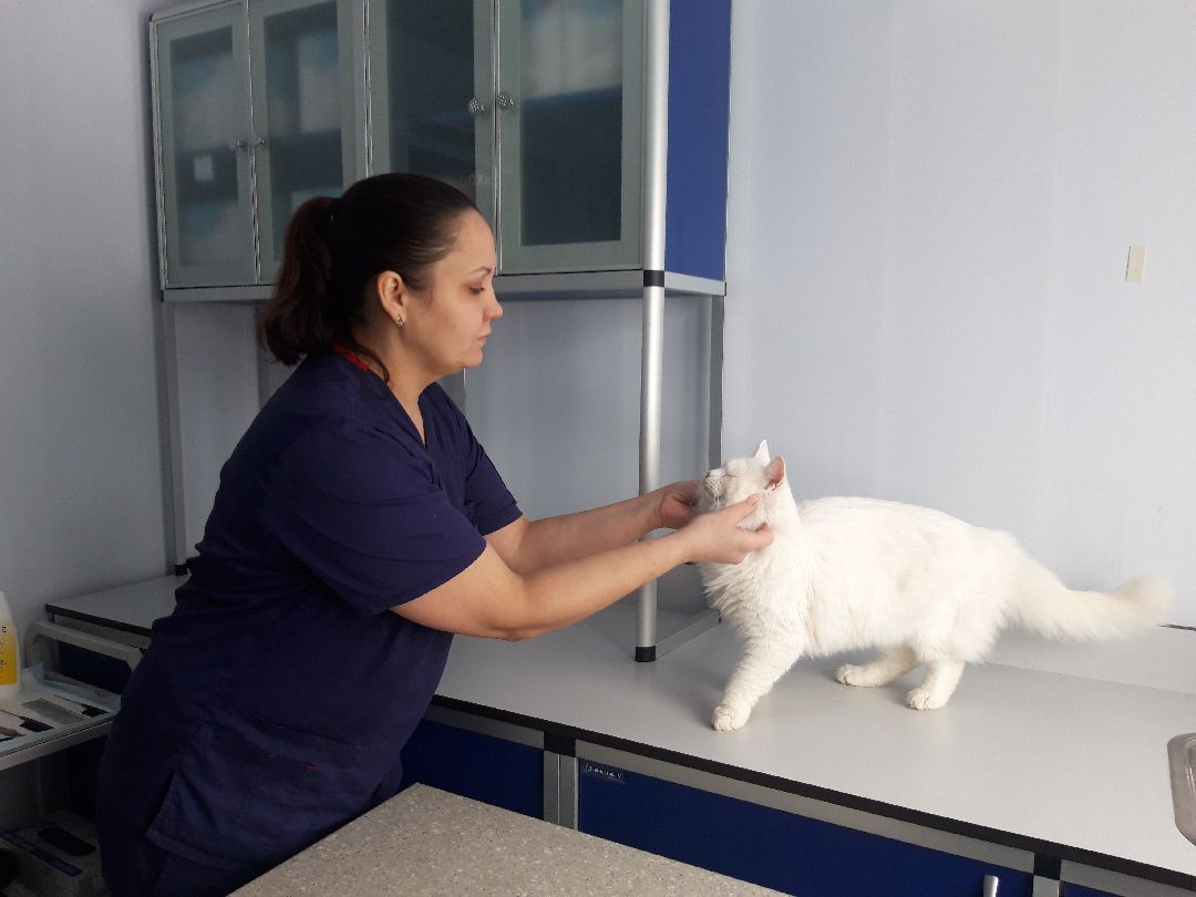 инновации, разработка,