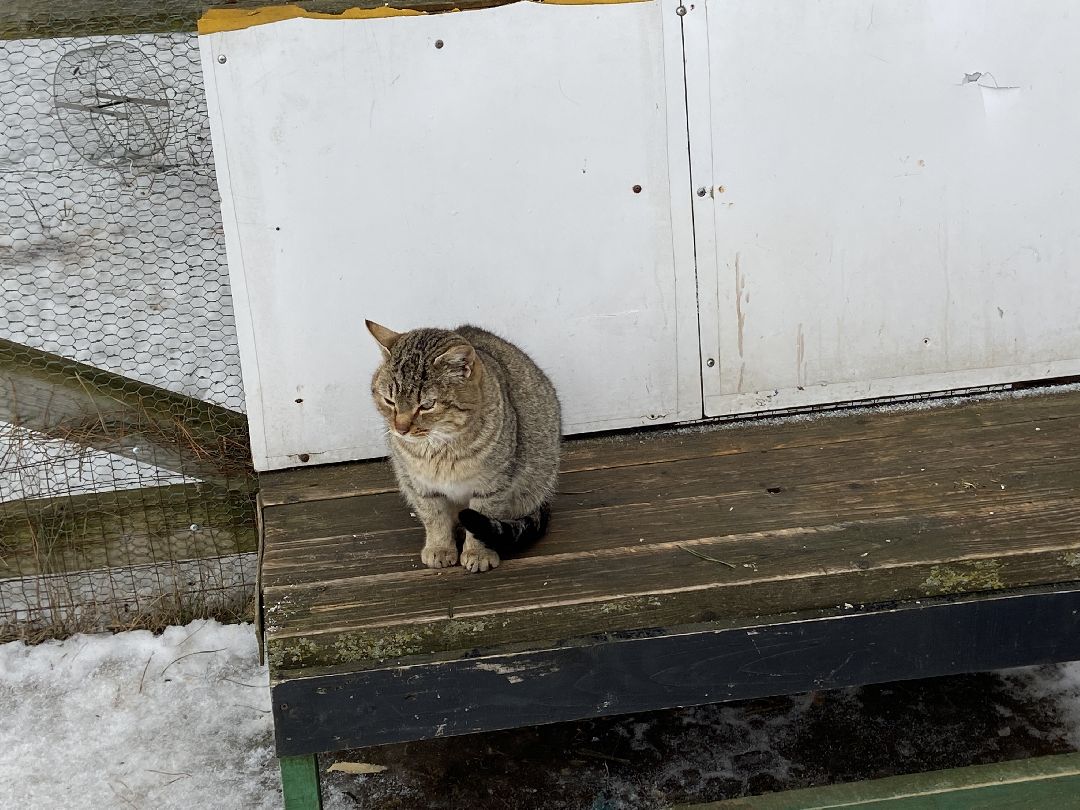Волоколамск, рыбалка, дети, выходные в подмосковье, детский спорт, праздники, благотворительность, волонтеры,