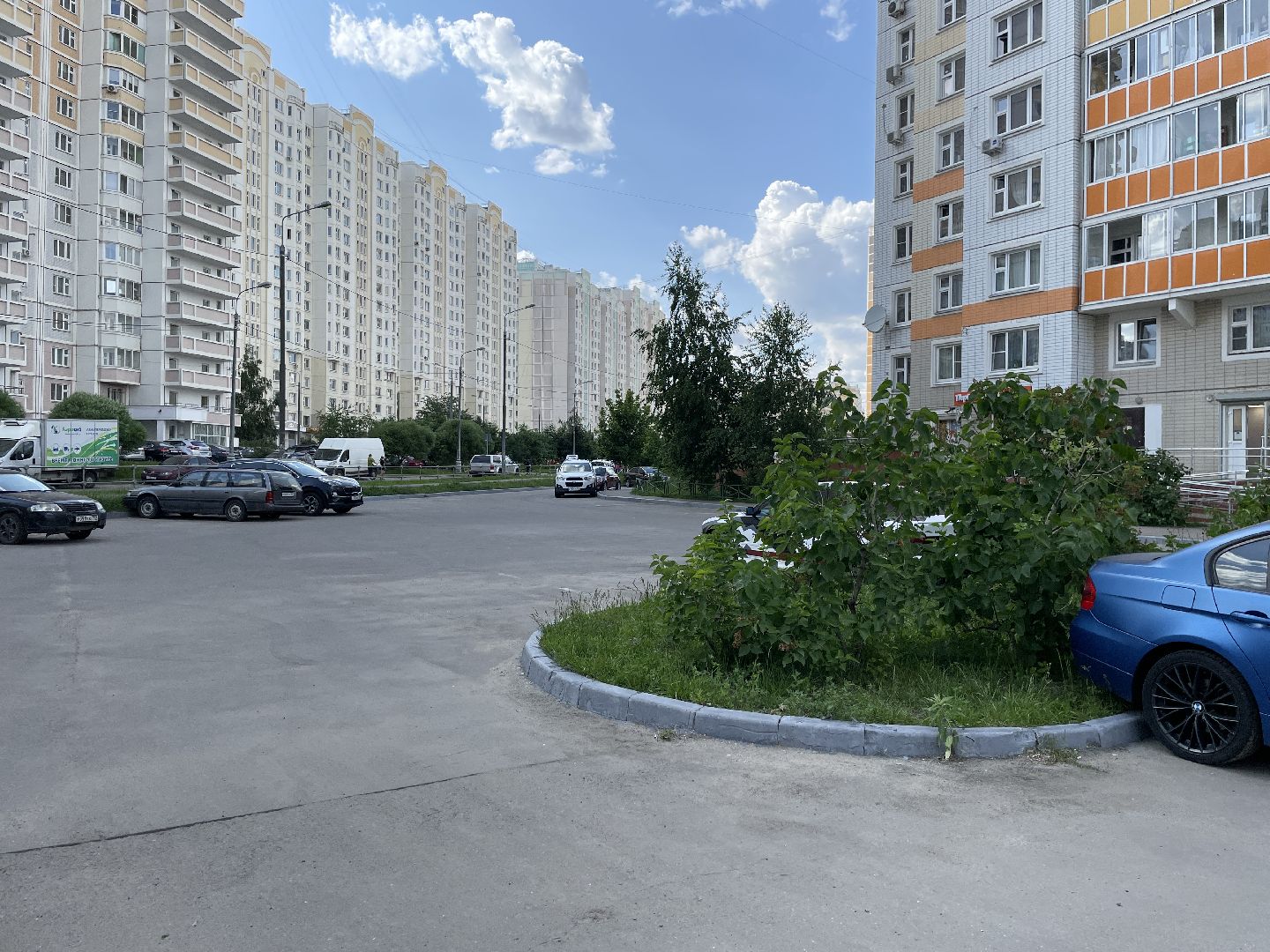 Бордюры, окраска, серый, Люберцы