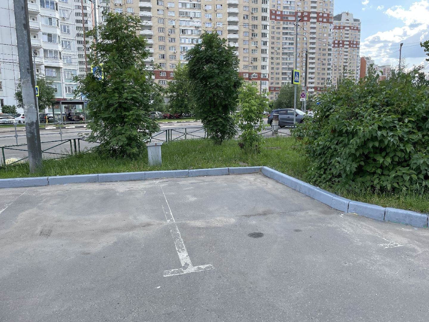 Бордюры, окраска, серый, Люберцы