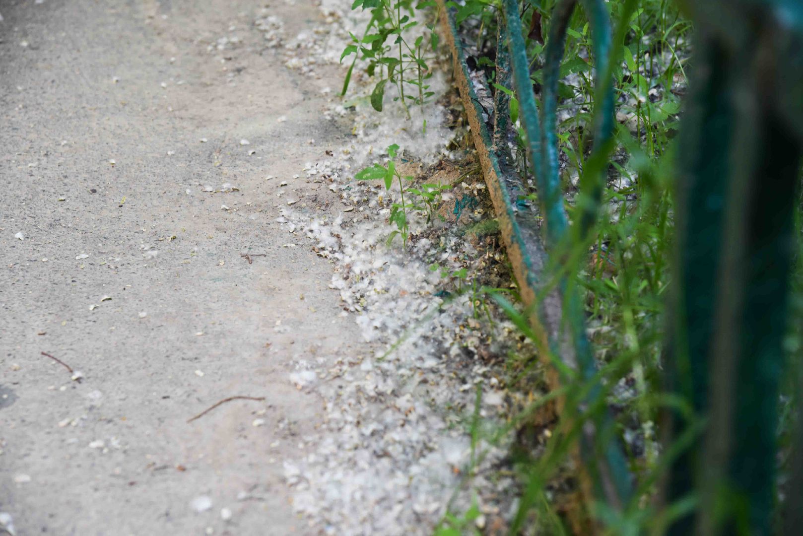 Химки, аллергия, рекомендации