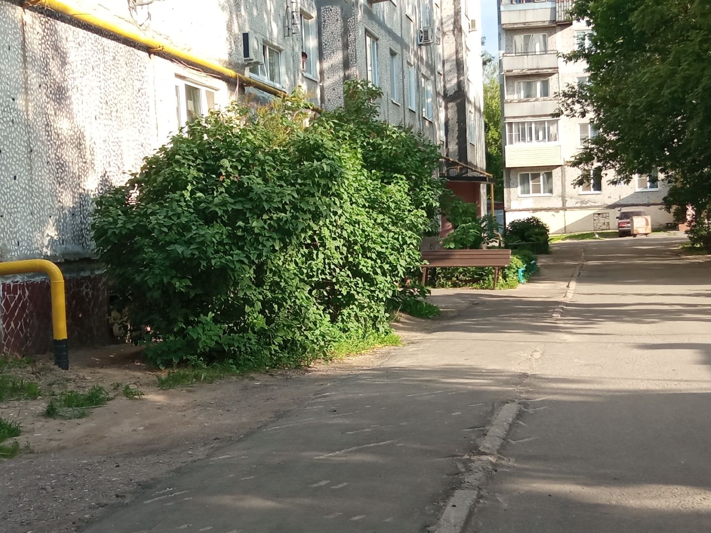 Павловский Посад, городской округ Павловский Посад, лавочки, покраска, дворы