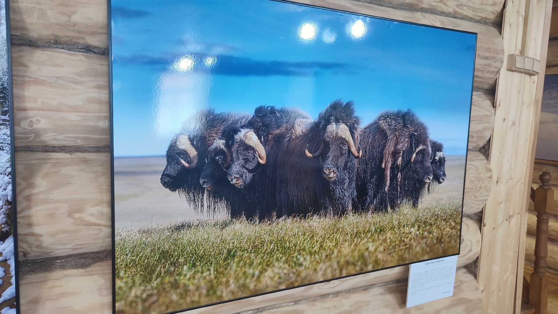 Кашира, выставка, фотография, дом Щукина, культура