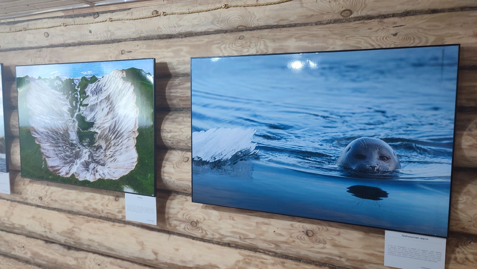 Кашира, выставка, фотография, дом Щукина, культура