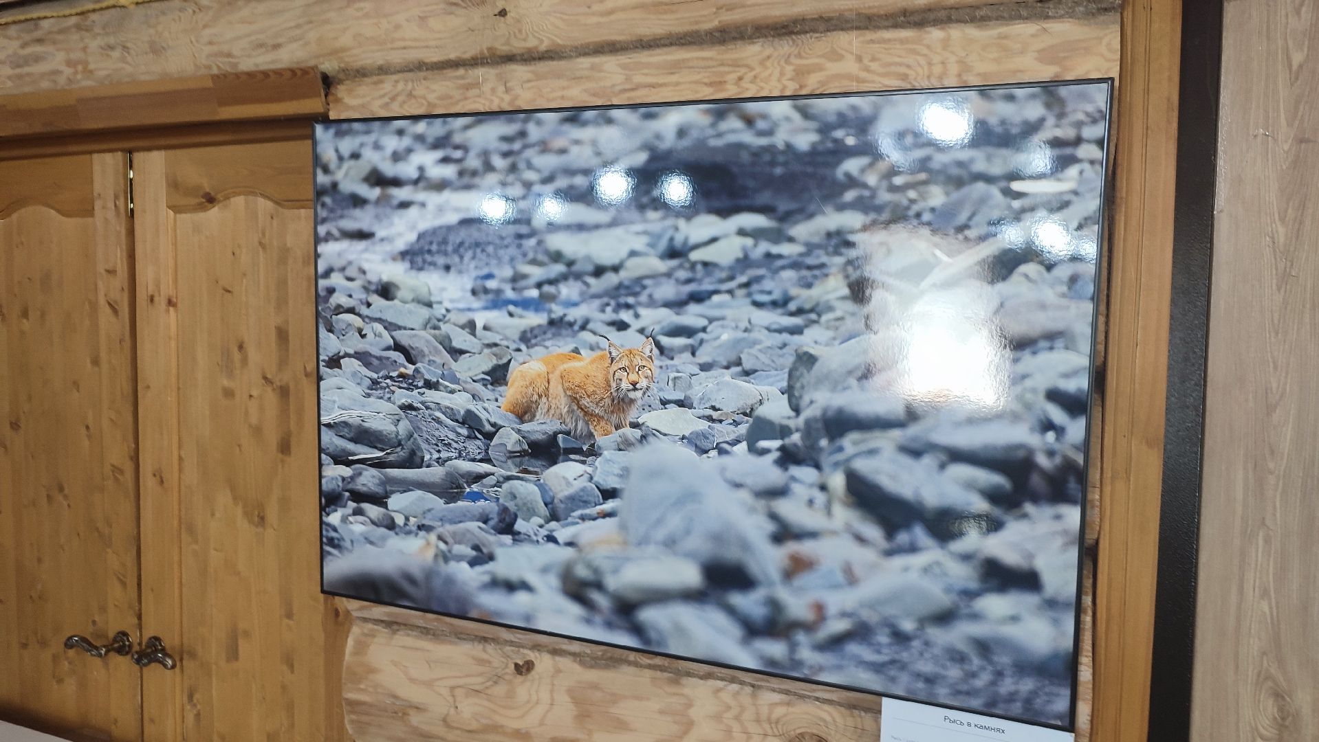 Кашира, выставка, фотография, дом Щукина, культура