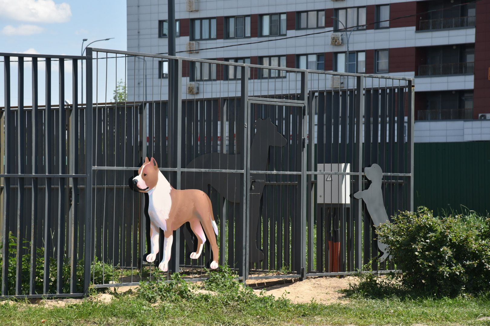 Химки, граффити, собаки