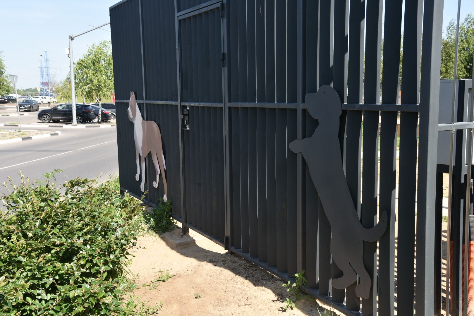 Химки, граффити, собаки