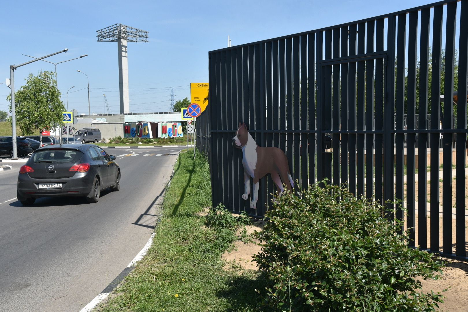 Химки, граффити, собаки