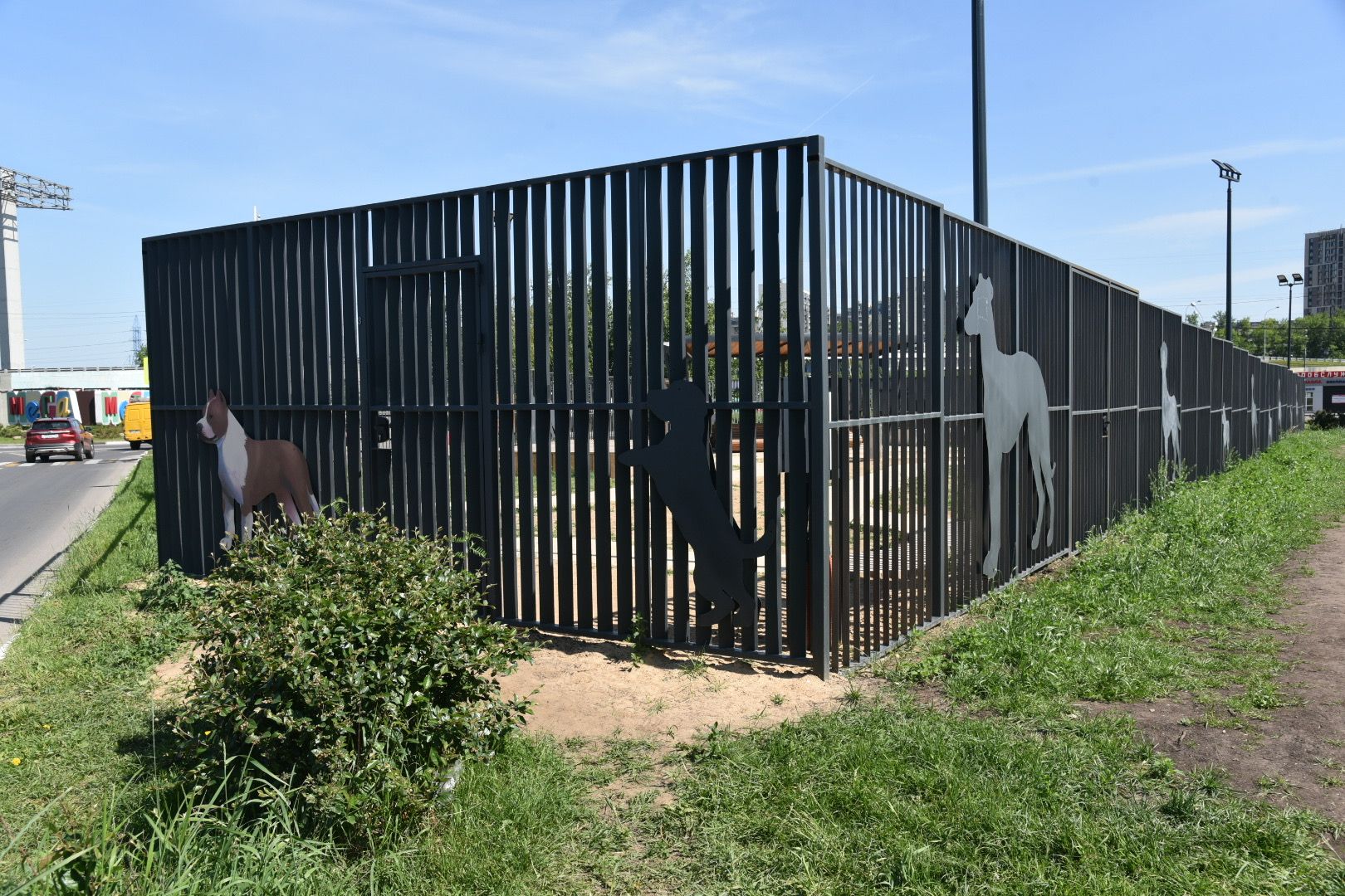 Химки, граффити, собаки