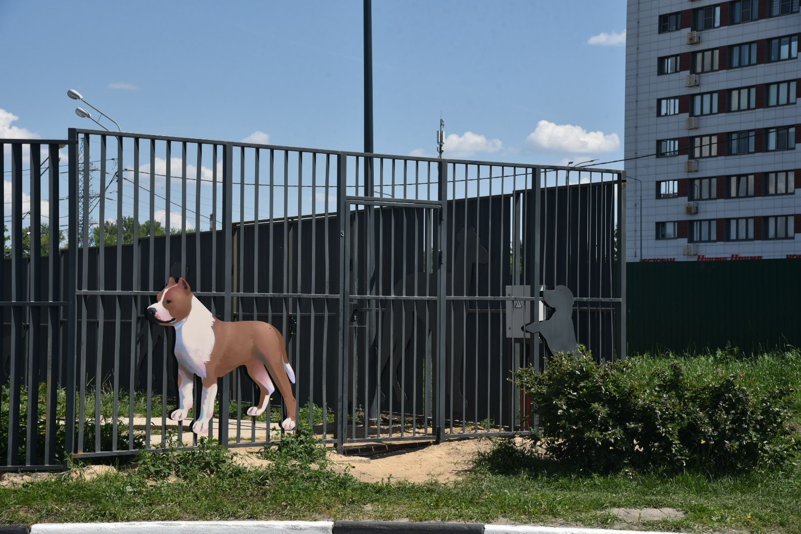 Химки, граффити, собаки