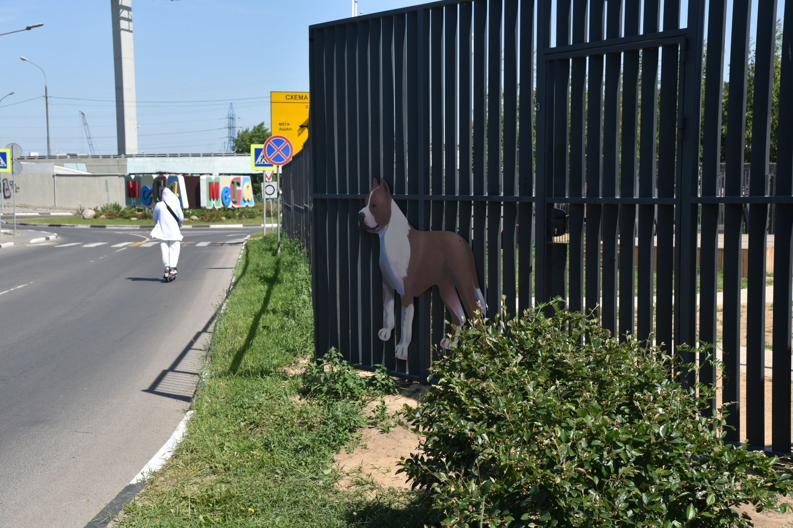 Химки, граффити, собаки