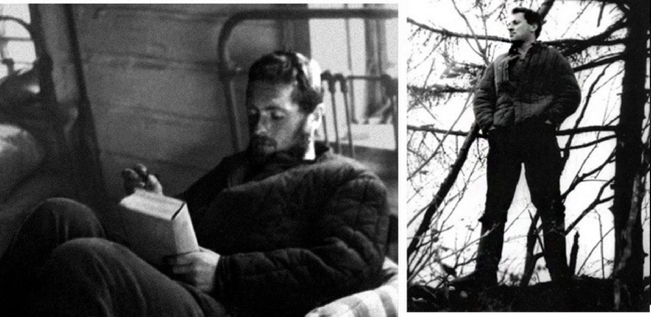 Звенигород, губернаторский проект, Иосиф Бродский