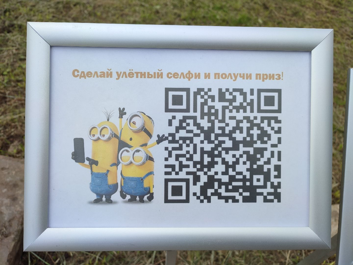 #селфиквест, #городпрофессий, #талдом, #конкурс, #фотографии