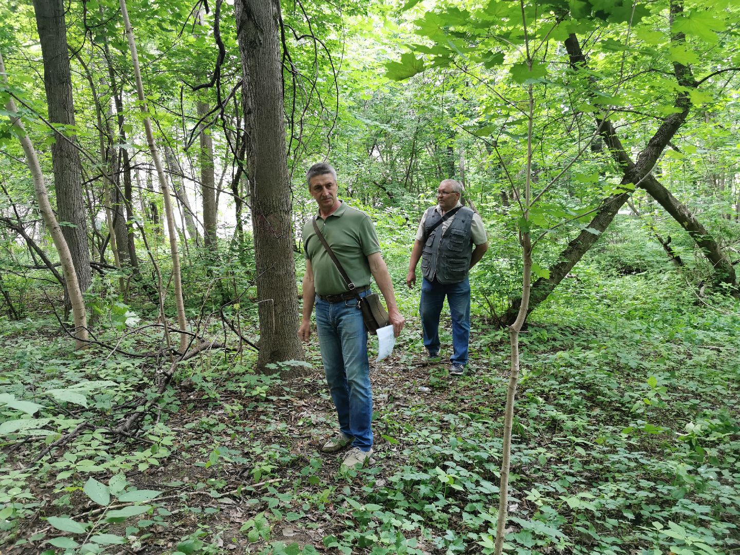 Подольск, сквер