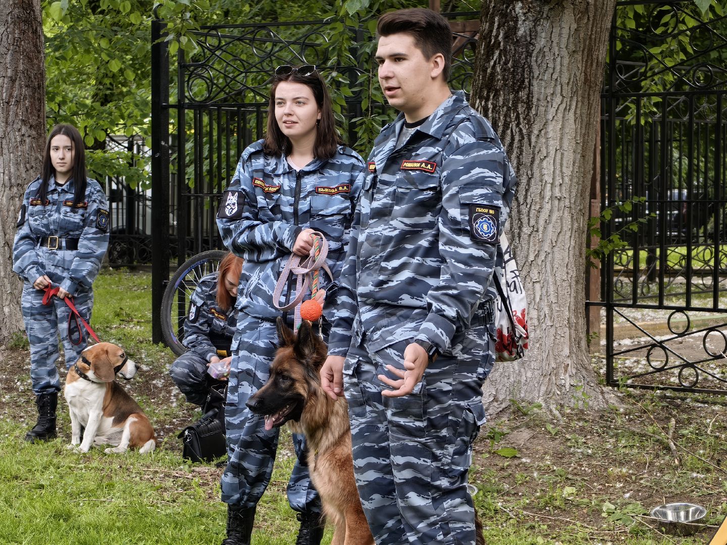 Кинолог, предприниматель, парк, бизнес, собака