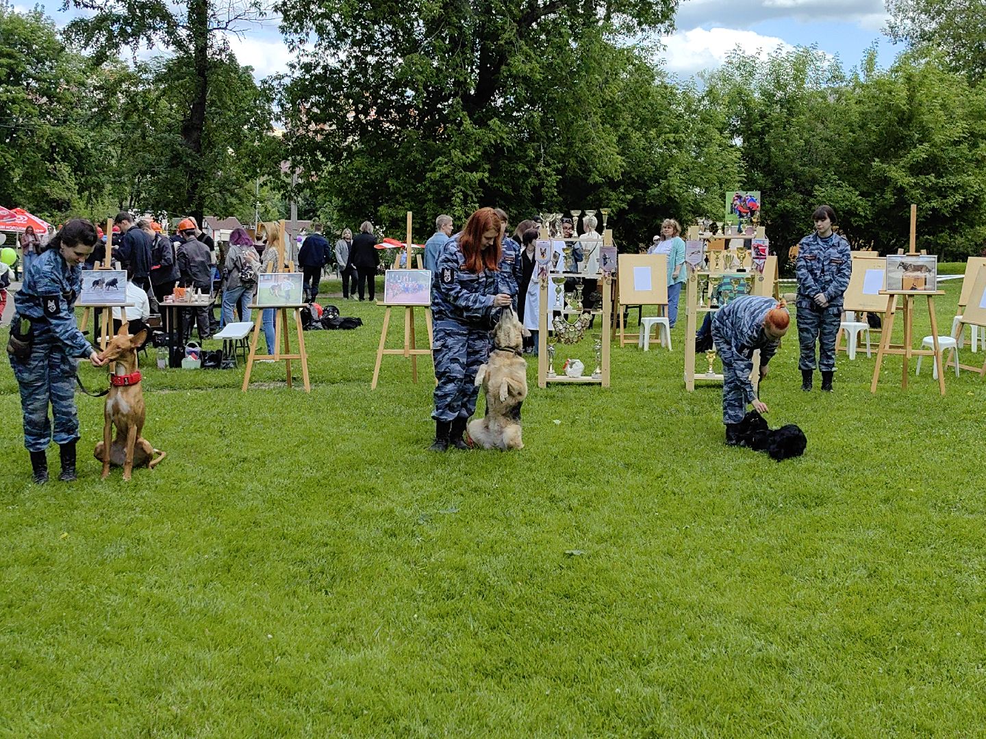 Кинолог, предприниматель, парк, бизнес, собака
