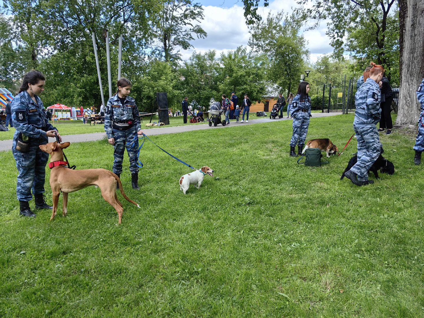 Кинолог, предприниматель, парк, бизнес, собака