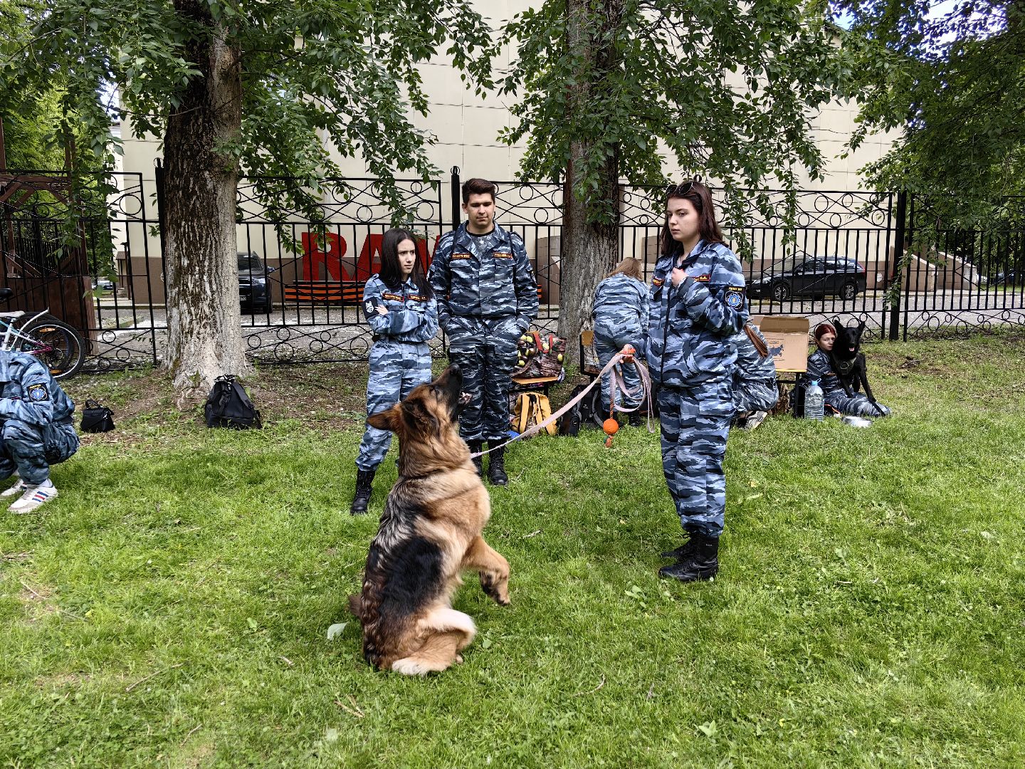 Кинолог, предприниматель, парк, бизнес, собака