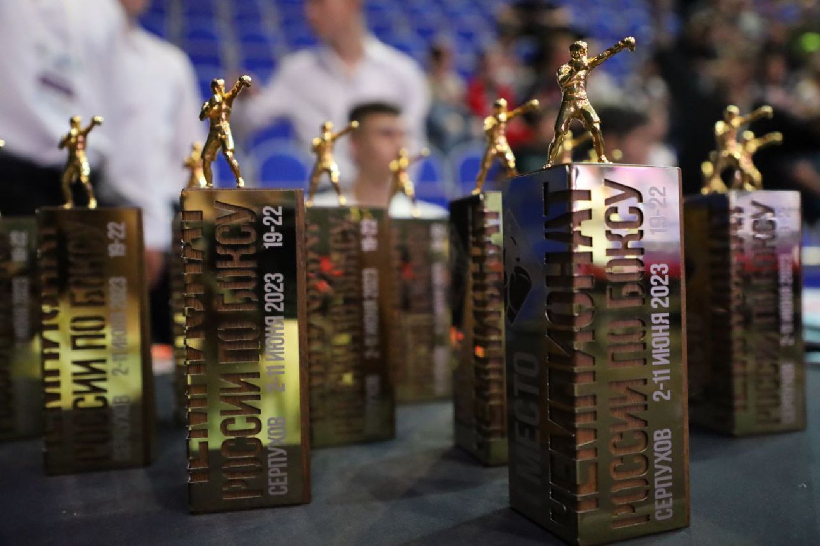 бокс, спорт, серпухов, поселок большевик, чемпионат по боксу, дс надежда,