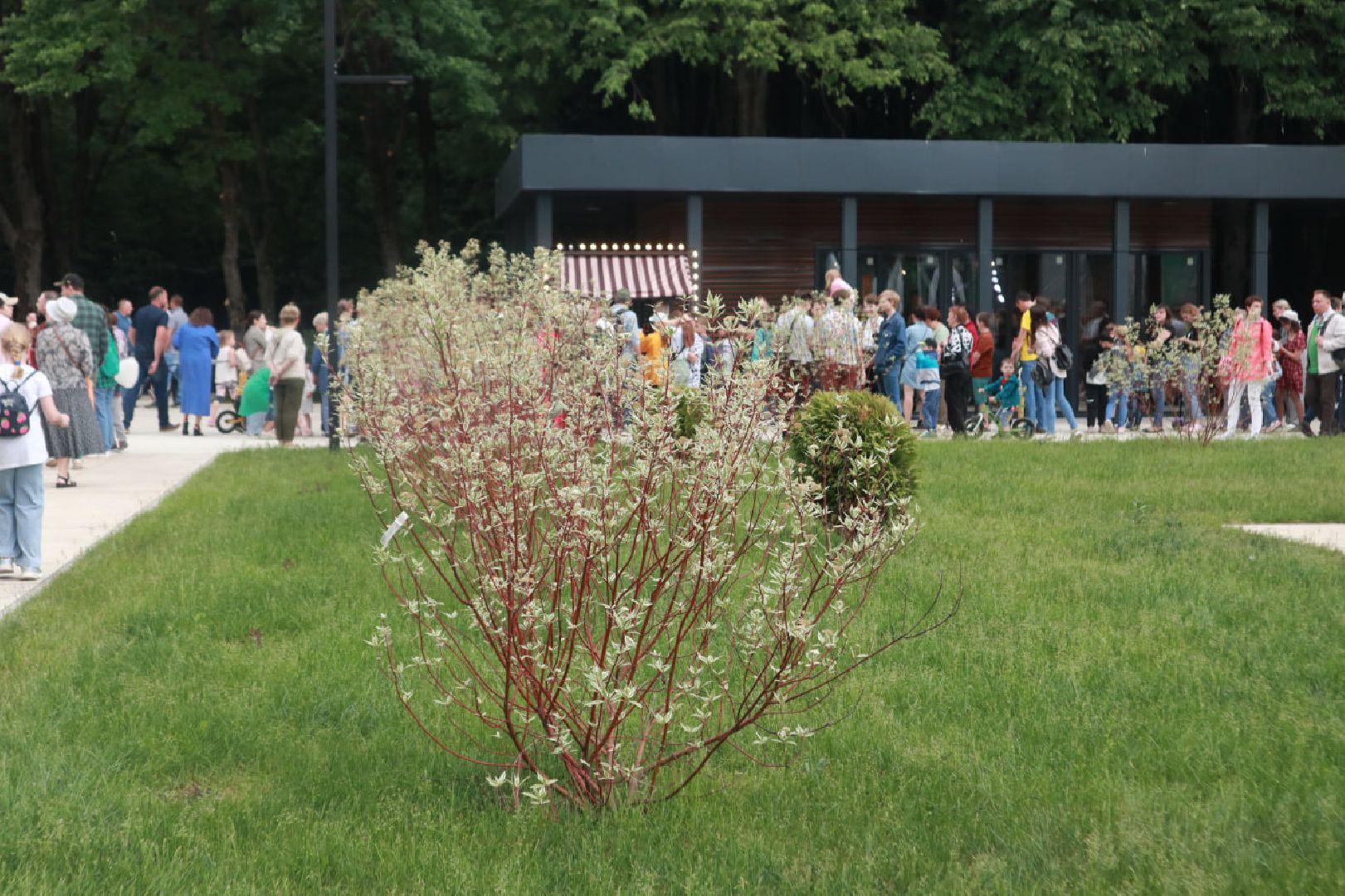 Пущино, благоустройство