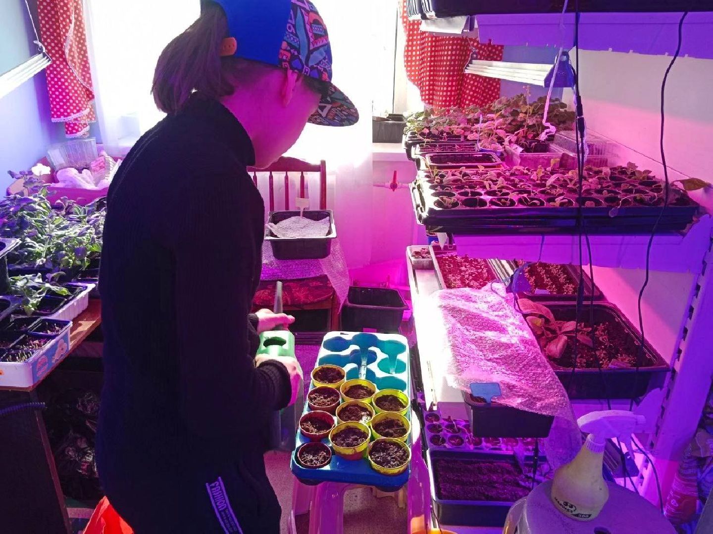 творческий, конкурс, город-сад, третий