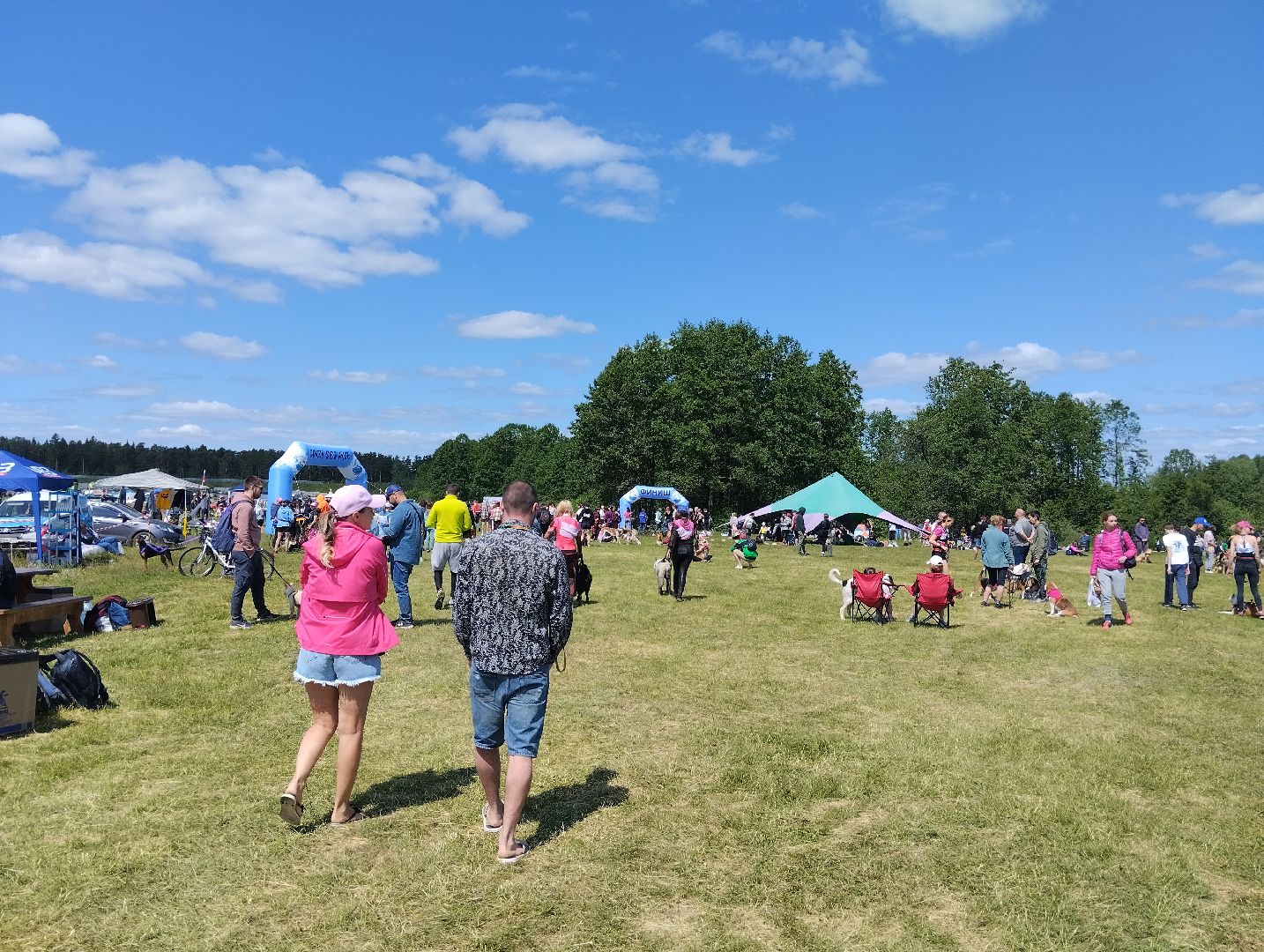 Экстремальные гонки, Хвостатый драйв, гонки с собаками, Старая Купавна, Богородский городской округ, эксклюзив