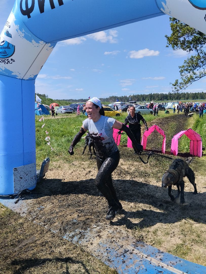 Экстремальные гонки, Хвостатый драйв, гонки с собаками, Старая Купавна, Богородский городской округ, эксклюзив