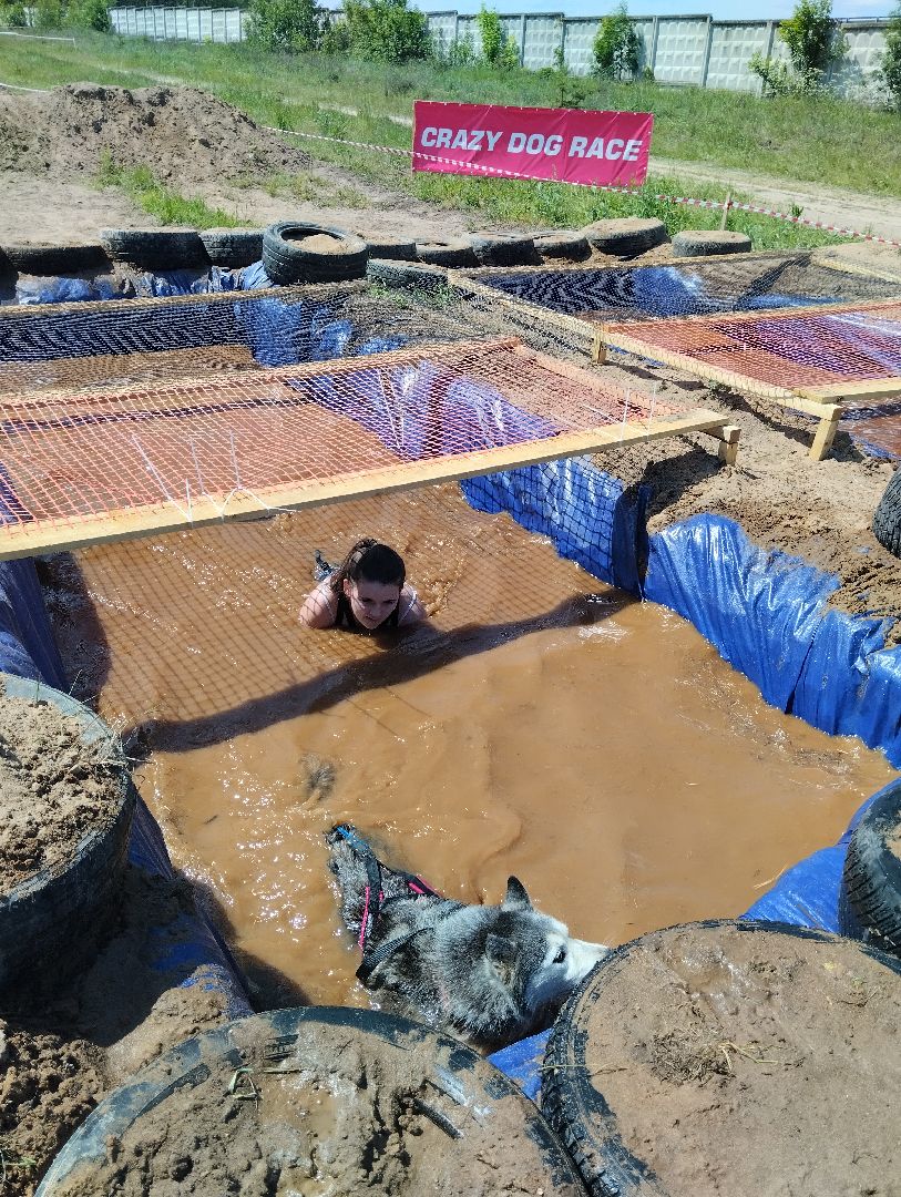 Экстремальные гонки, Хвостатый драйв, гонки с собаками, Старая Купавна, Богородский городской округ, эксклюзив