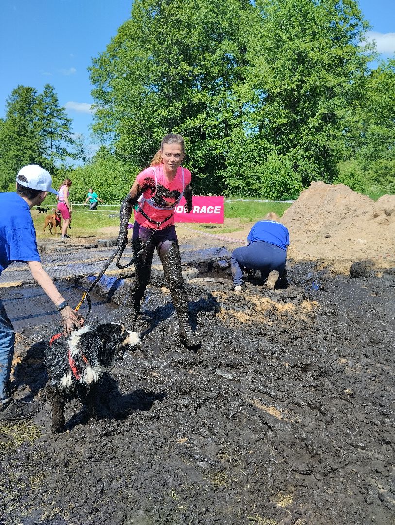 Экстремальные гонки, Хвостатый драйв, гонки с собаками, Старая Купавна, Богородский городской округ, эксклюзив