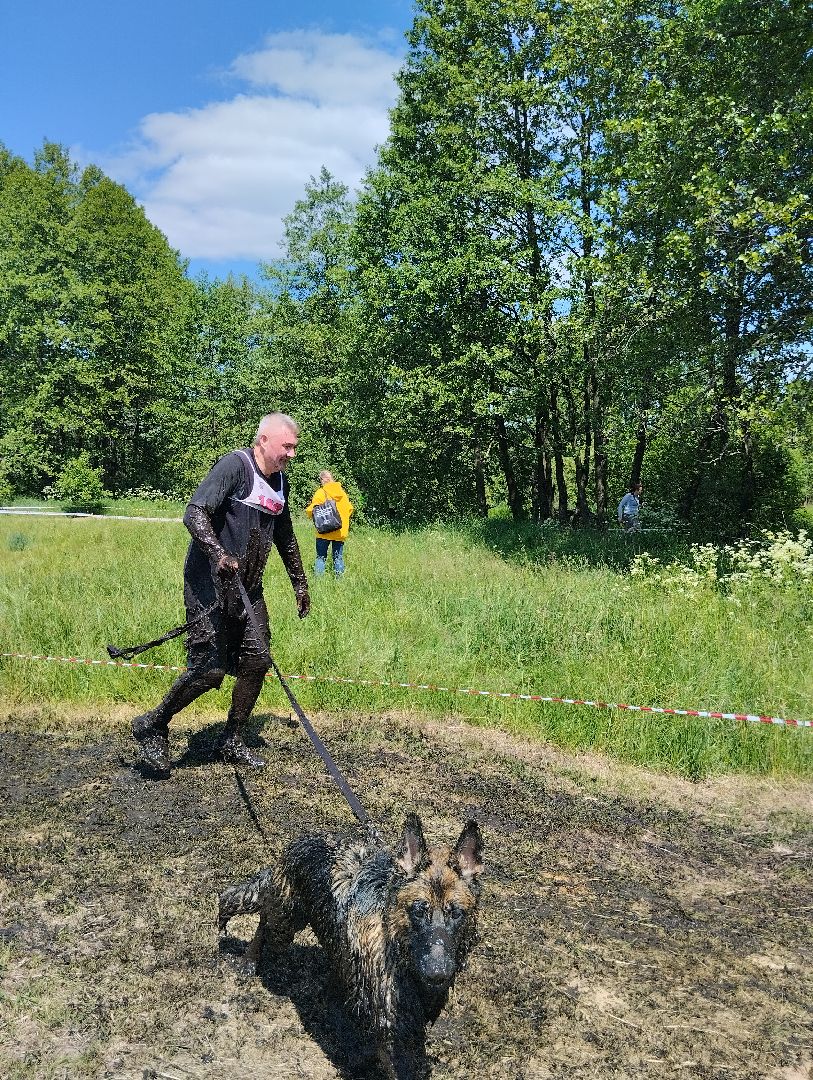 Экстремальные гонки, Хвостатый драйв, гонки с собаками, Старая Купавна, Богородский городской округ, эксклюзив
