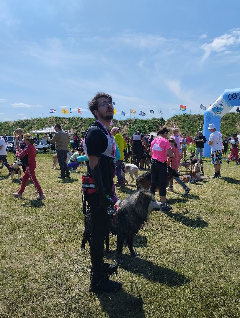 Экстремальные гонки, Хвостатый драйв, гонки с собаками, Старая Купавна, Богородский городской округ, эксклюзив