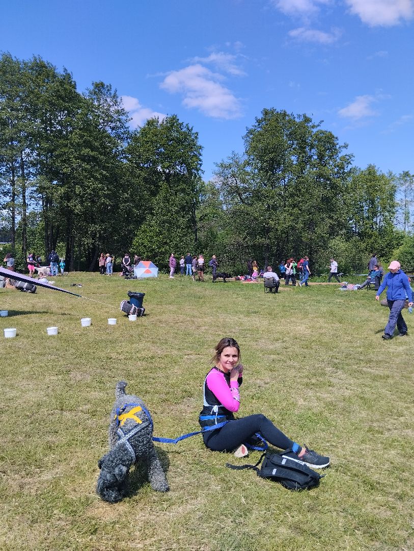 Экстремальные гонки, Хвостатый драйв, гонки с собаками, Старая Купавна, Богородский городской округ, эксклюзив