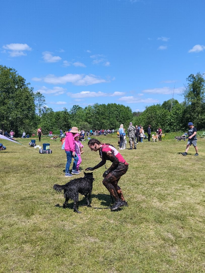 Экстремальные гонки, Хвостатый драйв, гонки с собаками, Старая Купавна, Богородский городской округ, эксклюзив