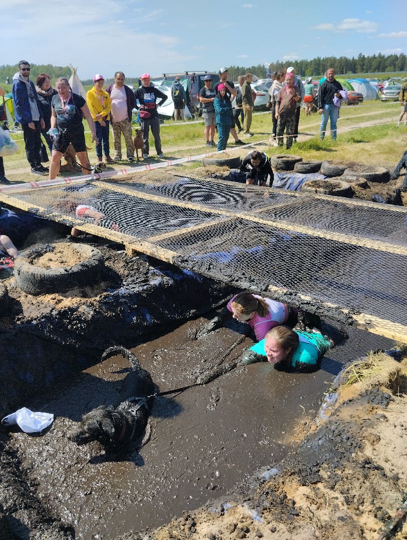 Экстремальные гонки, Хвостатый драйв, гонки с собаками, Старая Купавна, Богородский городской округ, эксклюзив