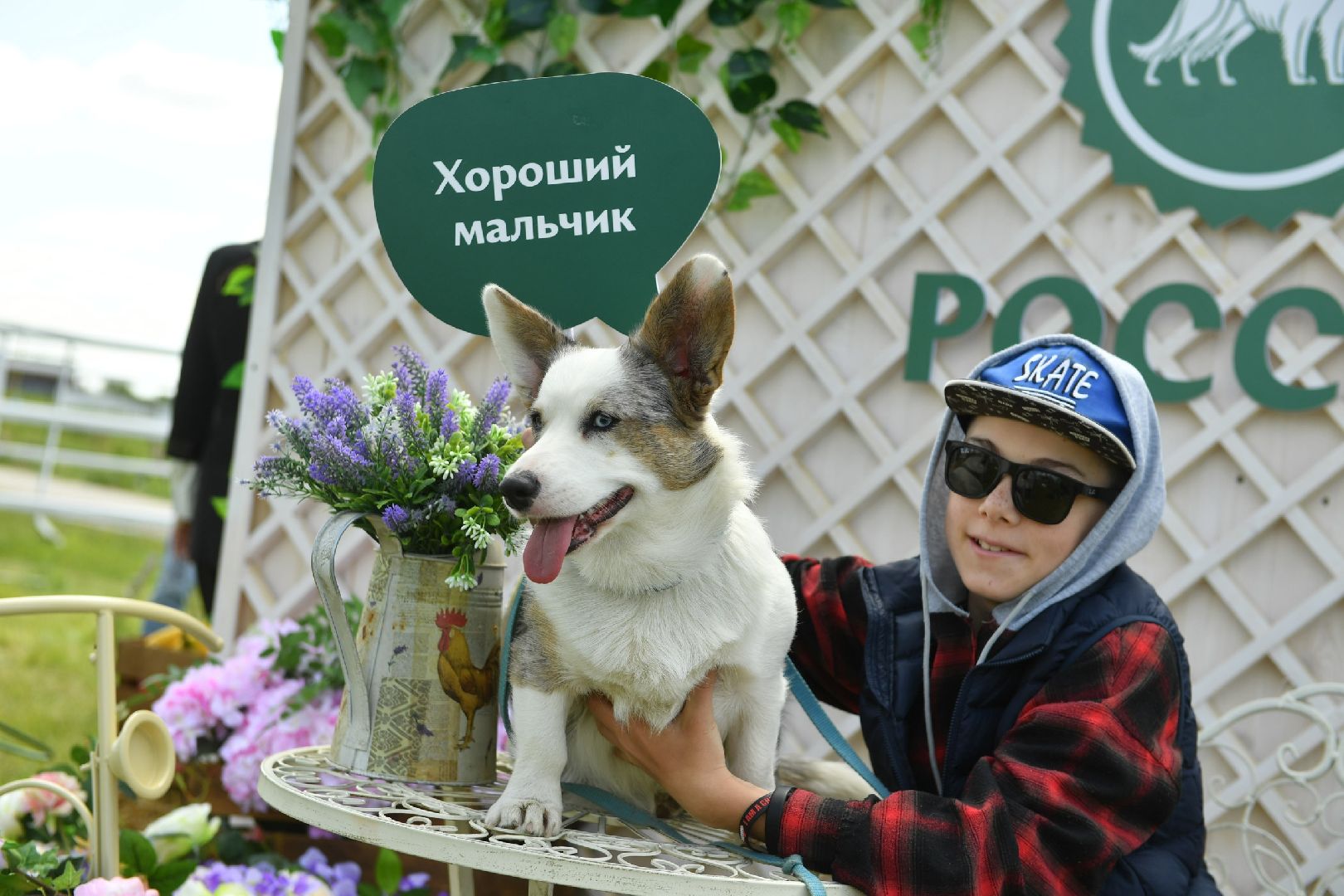 Дмитров, Максима парк, Российская кинологическая федерация, Выставка Россия 2023