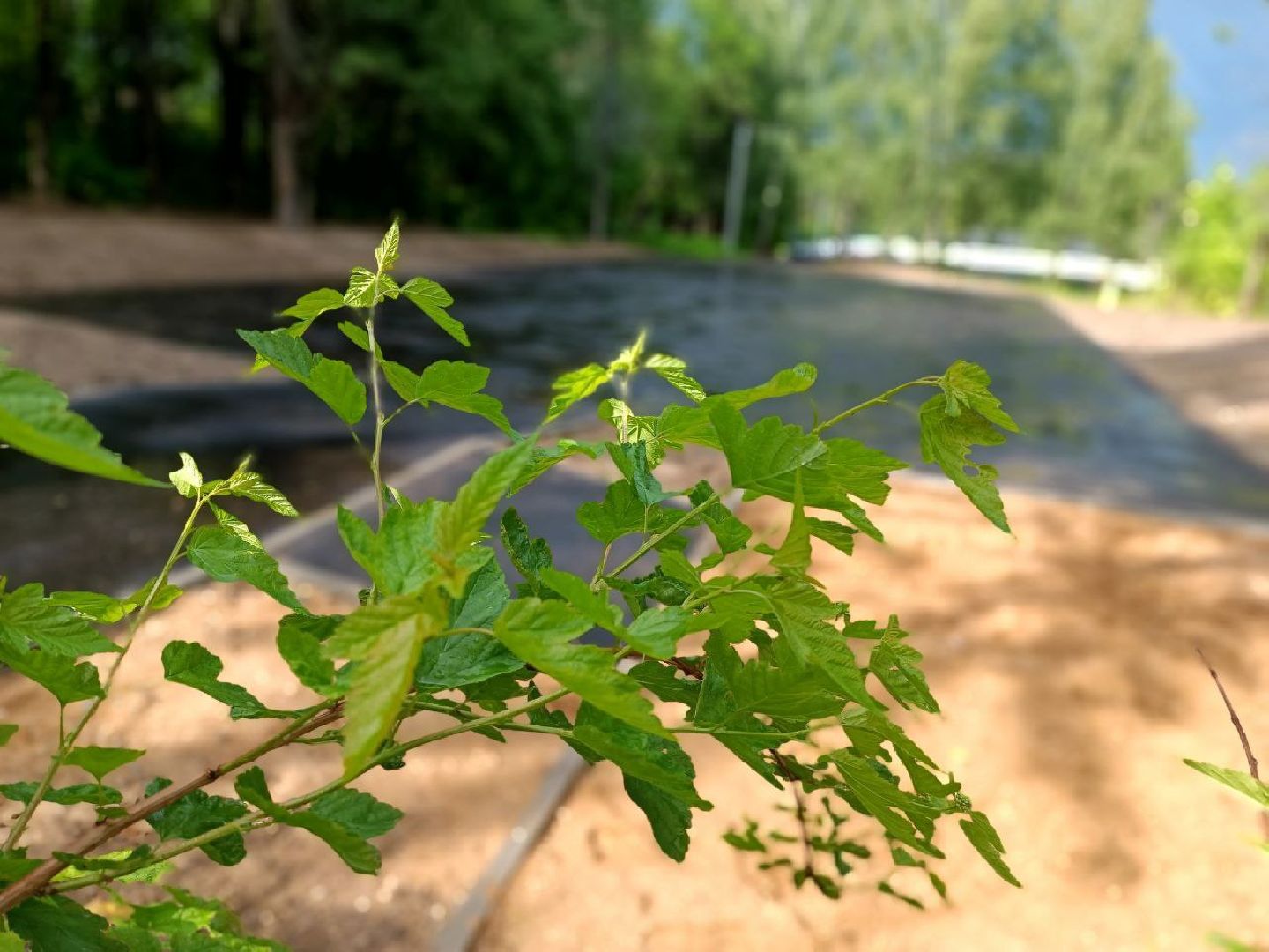 Можайск, Можайский городской округ, Подмосковье, детская площадка, губернатор, Наше Подмосковье, дети, игровой комплекс, благоустройство