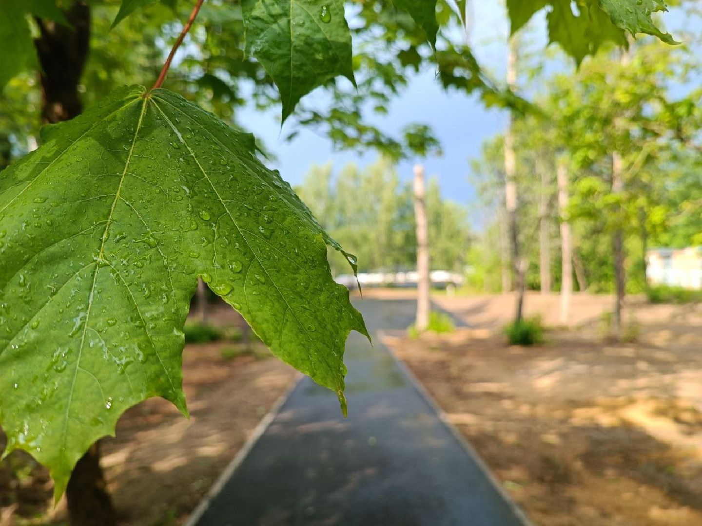 Можайск, Можайский городской округ, Подмосковье, детская площадка, губернатор, Наше Подмосковье, дети, игровой комплекс, благоустройство