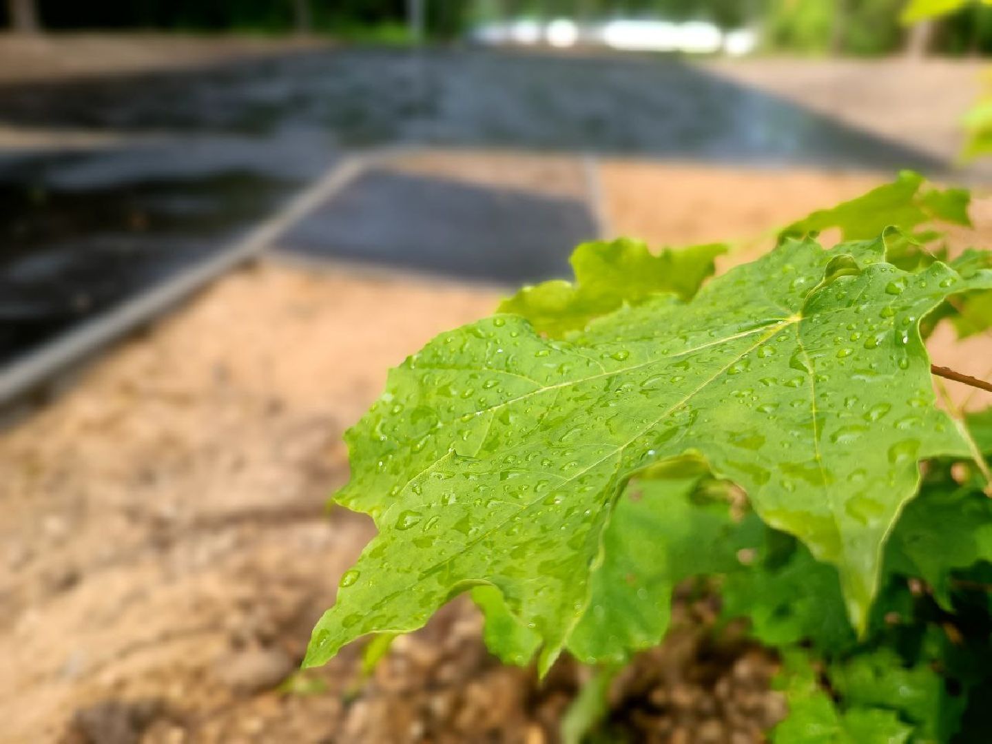 Можайск, Можайский городской округ, Подмосковье, детская площадка, губернатор, Наше Подмосковье, дети, игровой комплекс, благоустройство