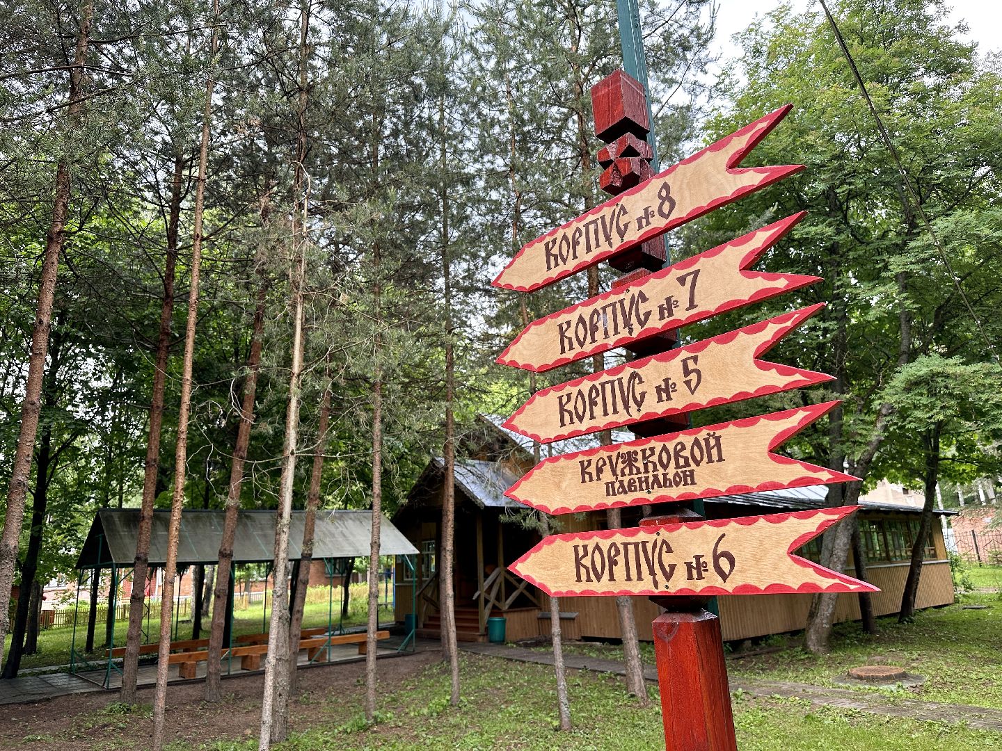 Клин, дети, лагеря, лето, Подмосковье