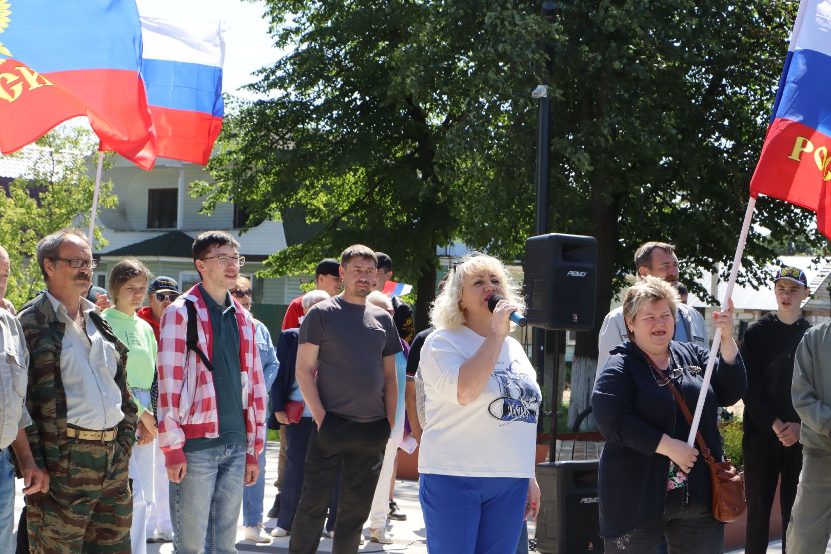 Серебряные Пруды, День России