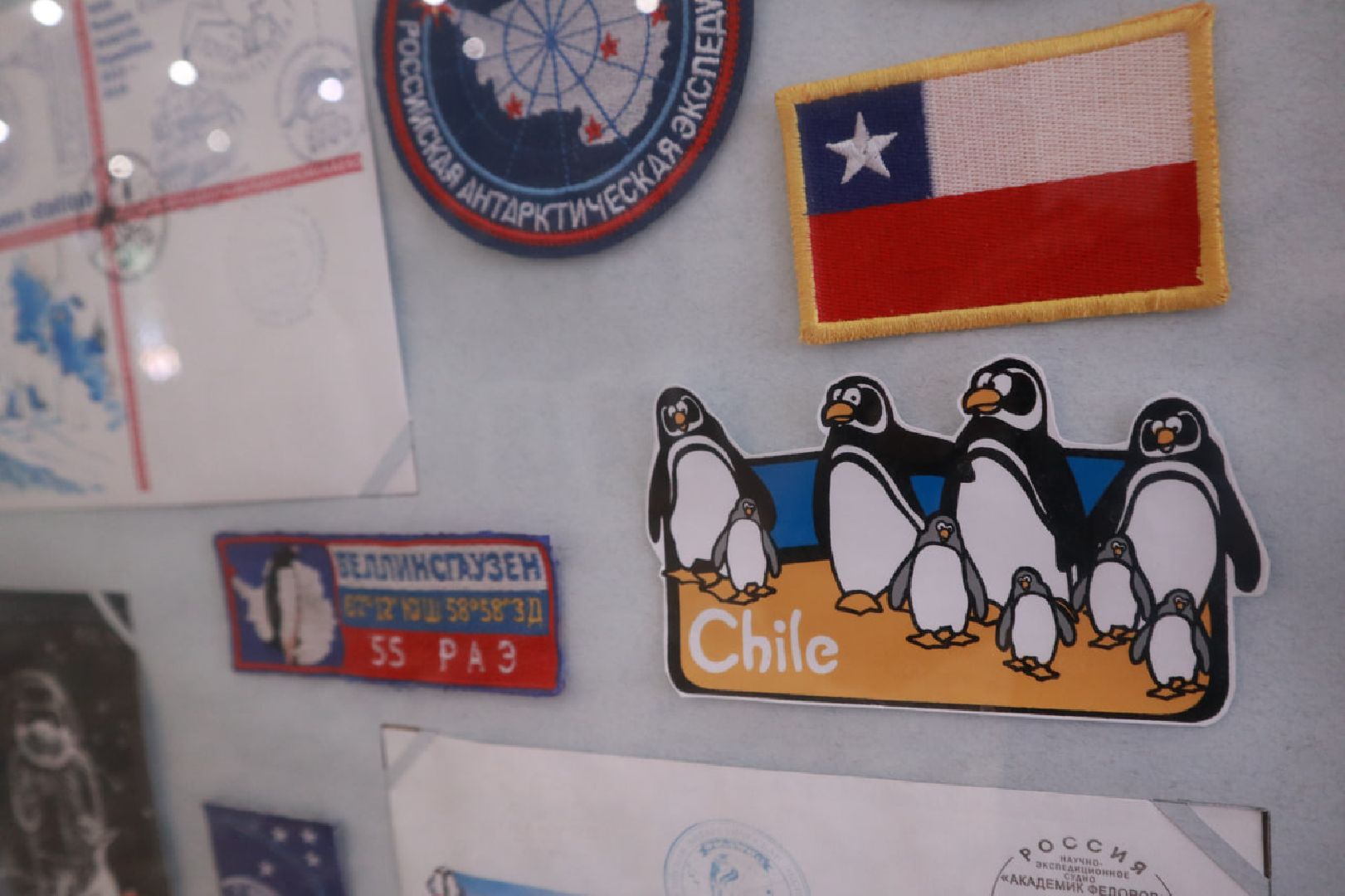 Пущино, наука