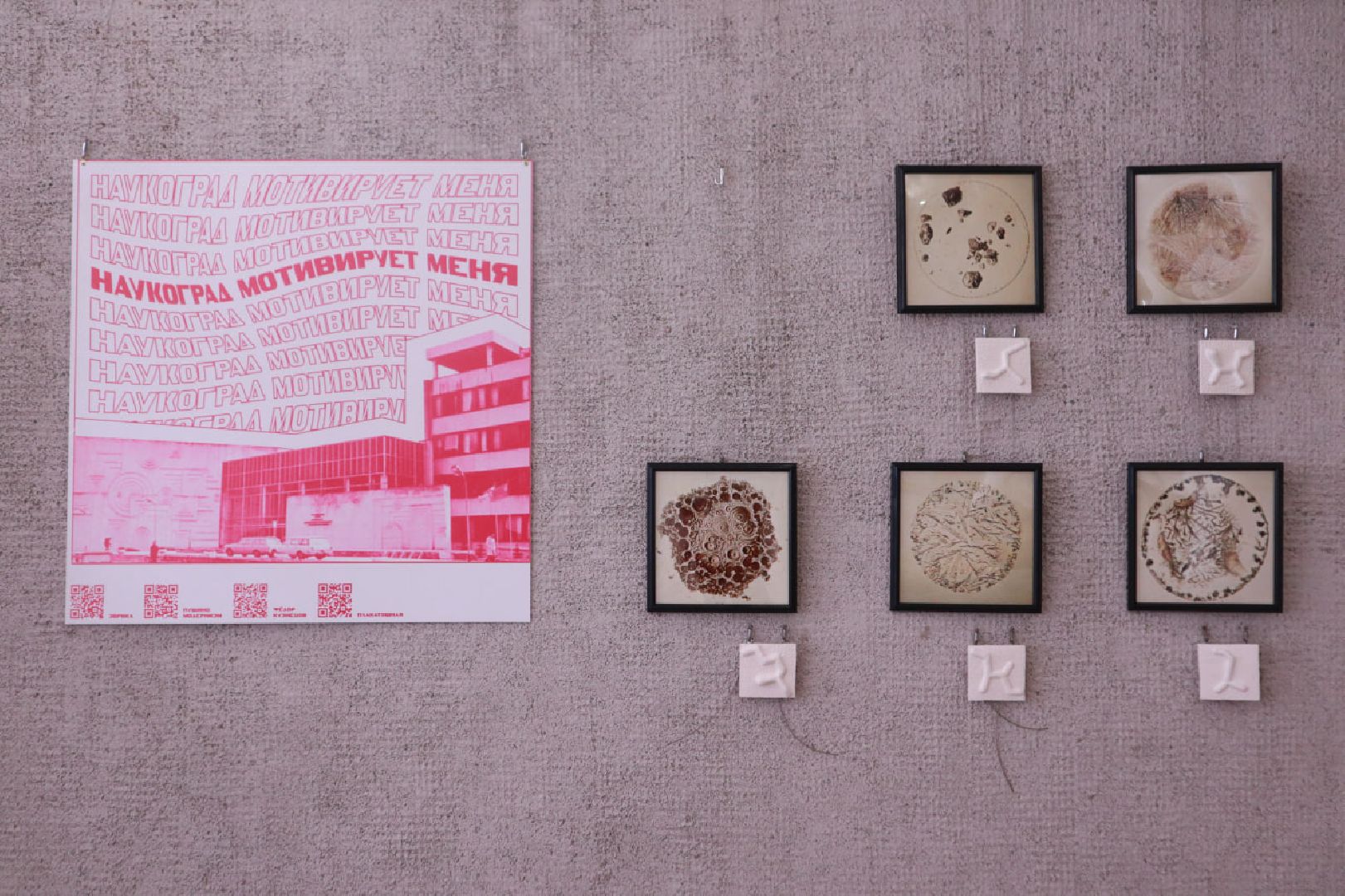 Пущино, наука