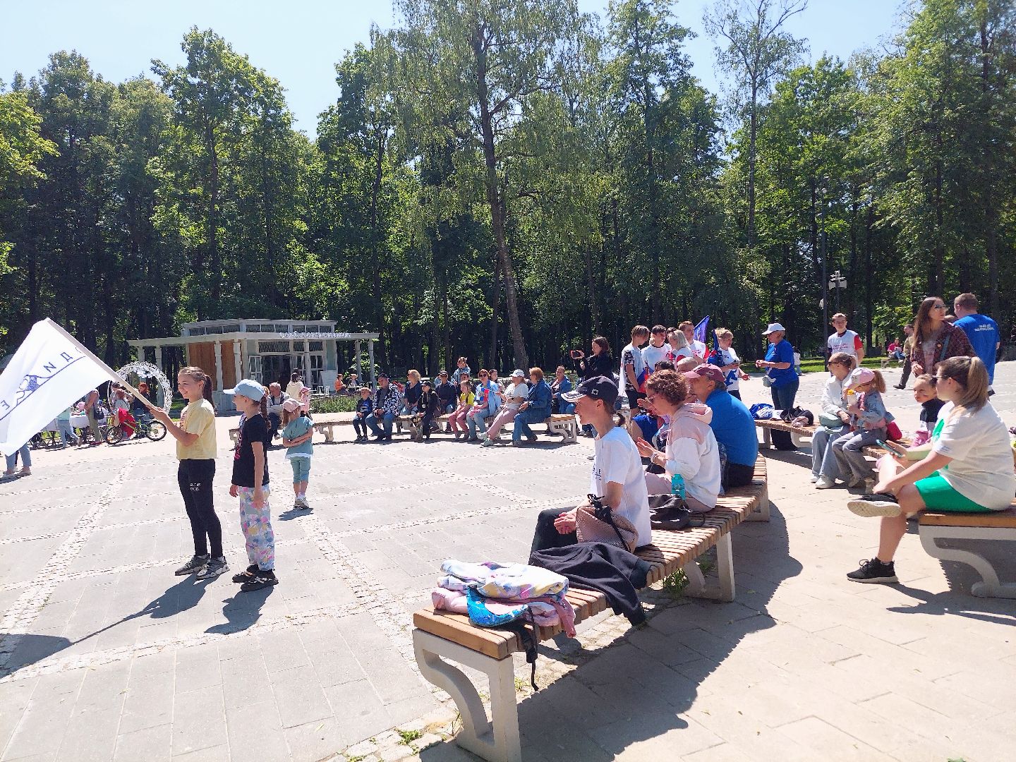 День России, парк Кривякино, праздник