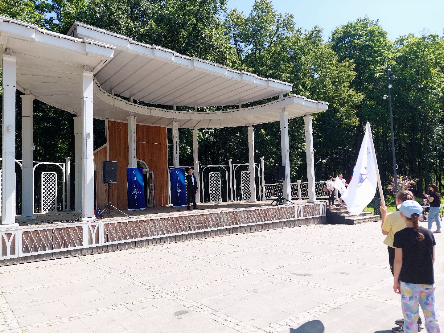 День России, парк Кривякино, праздник