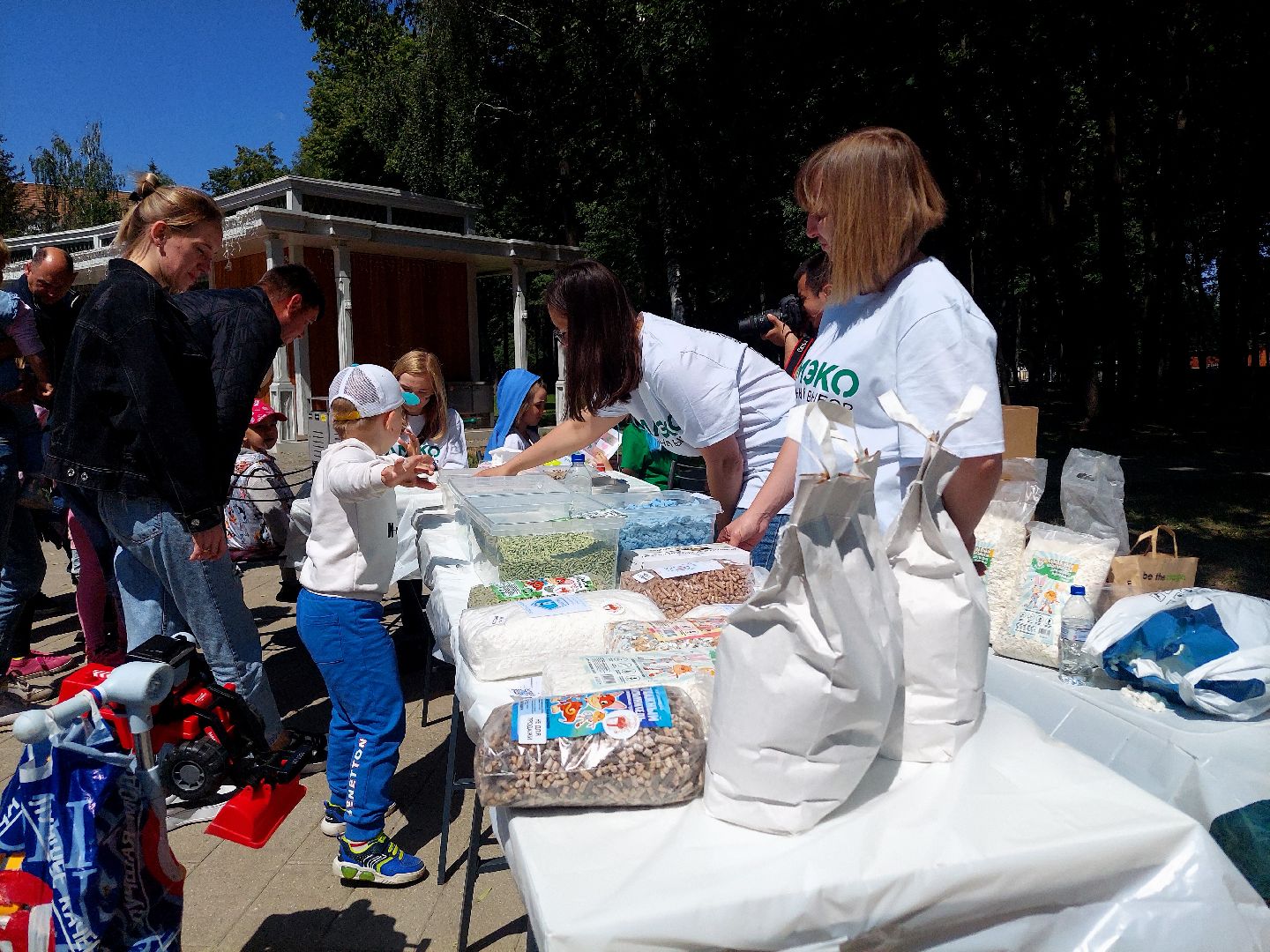 День России, экология, парк Кривякино