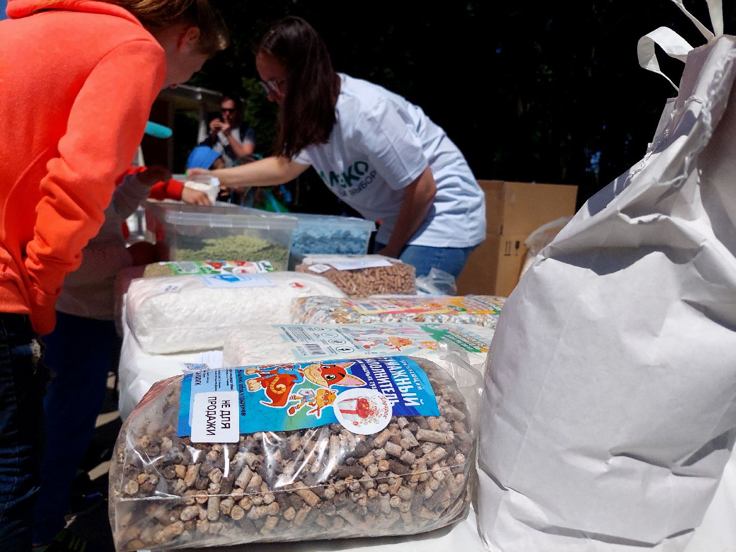 День России, экология, парк Кривякино