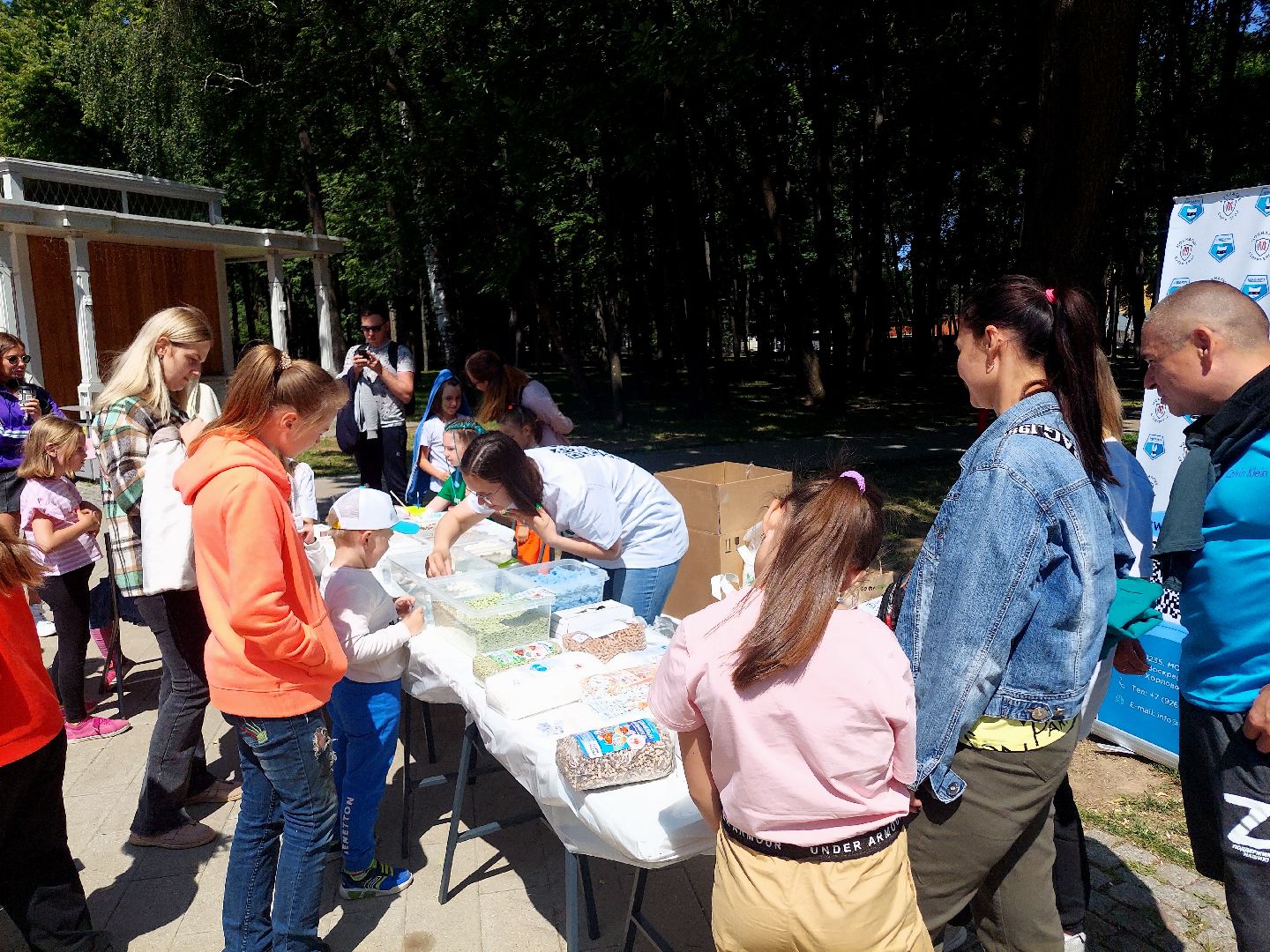 День России, экология, парк Кривякино