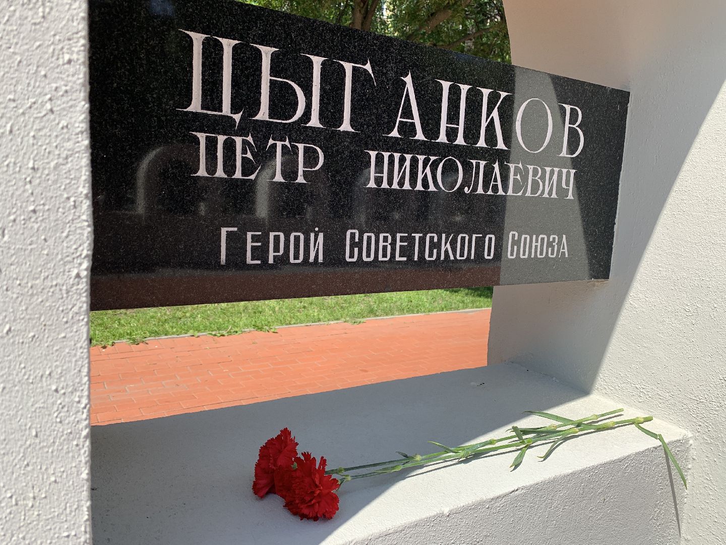 Балашиха, Подмосковье, акции, День России, флаг, триколор