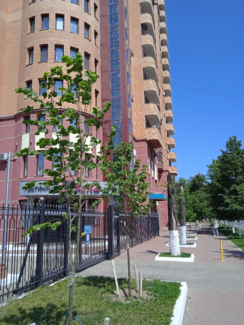 Жуковская, ГКБ, дежурный врач, неотложная, помощь