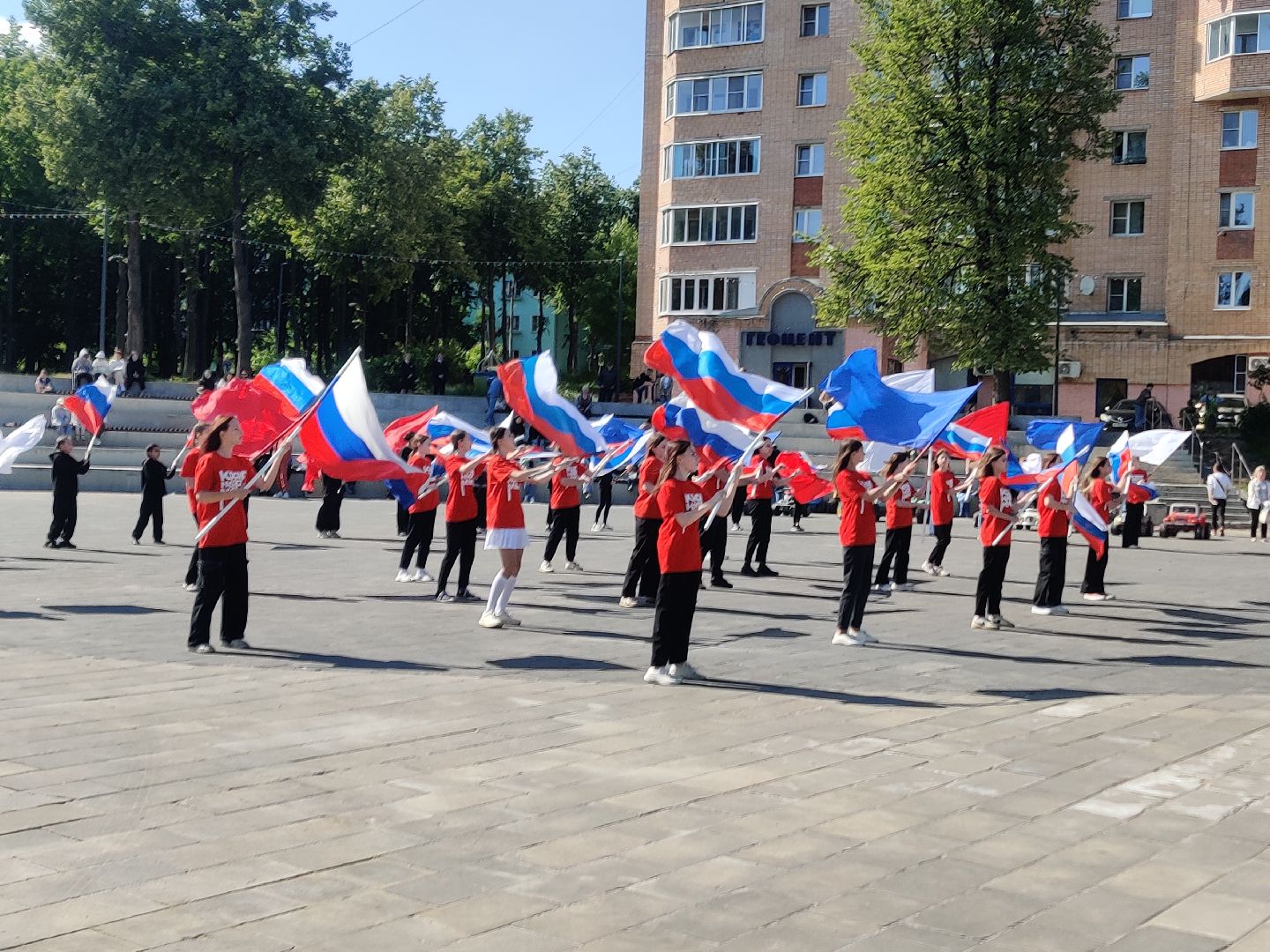 Красноармейск, Пушкинский, триколор, шествие День России